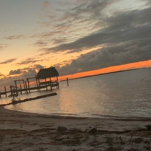 Meet your Posher, Lee